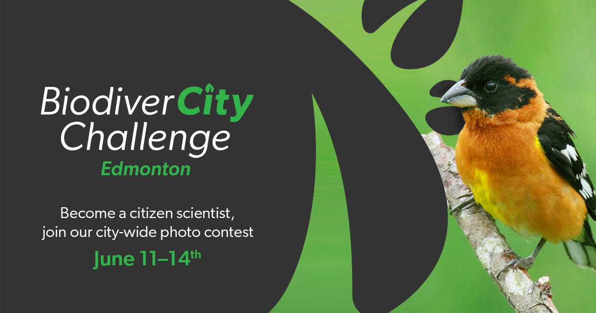 Banner BiodiverCity